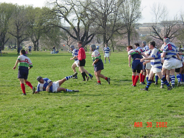 33_rugby2