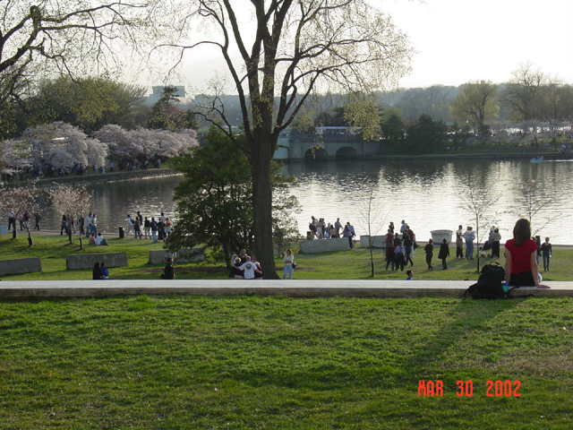 53_tidal_basin2