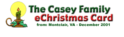 The Casey Family eChristmas Card - 2001