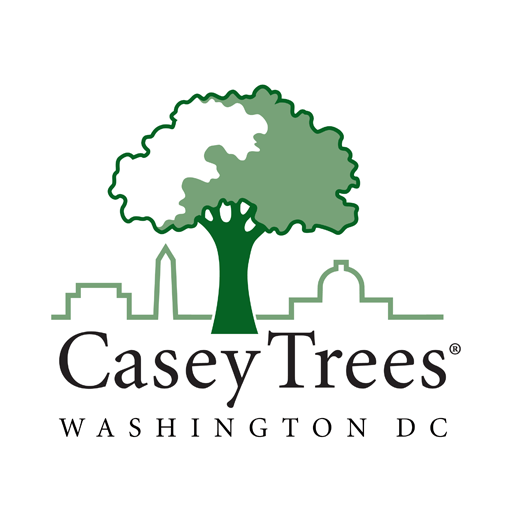 Casey Trees